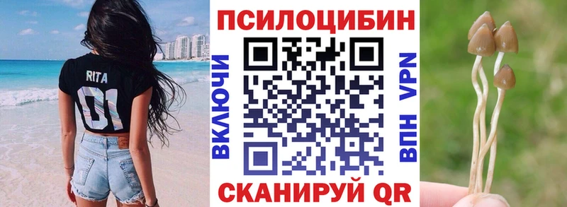 Галлюциногенные грибы GOLDEN TEACHER Купить где Новосибирск